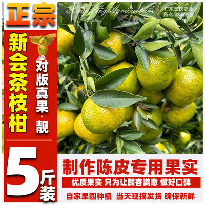 【陈皮专用鲜果】新会柑茶枝柑果实二红柑大红柑大青柑陈皮柑果实