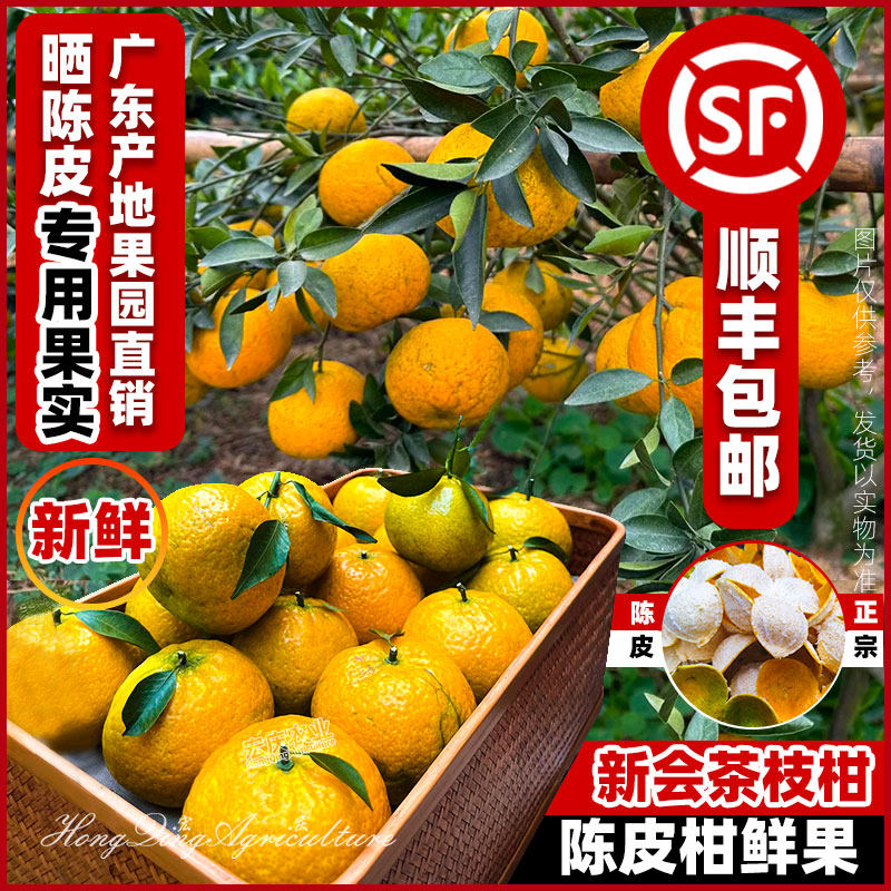 新会茶枝柑晒皮专用鲜果二红柑大红柑大青柑新鲜果正宗陈皮柑果实,水产肉类/新鲜蔬果/熟食,桔子,淘宝优惠券,粉丝福利购,淘宝优惠卷