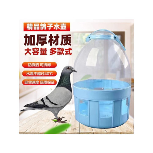 鸽子专用加厚自动饮水器信鸽赛鸽