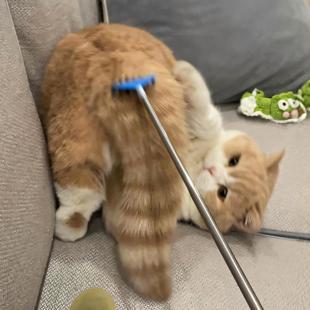 猫咪玩具可伸缩痒痒挠创意不锈钢狗狗按摩清洁宠物梳毛神器后背抓