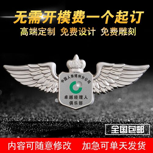 金属徽章胸章定做胸针定制学生司班徽校徽制作奖牌勋章结婚纪念币