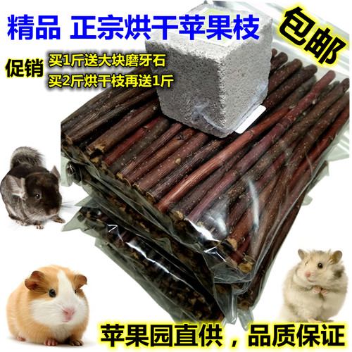 仓鼠荷兰猪龙猫兔子磨牙苹果枝