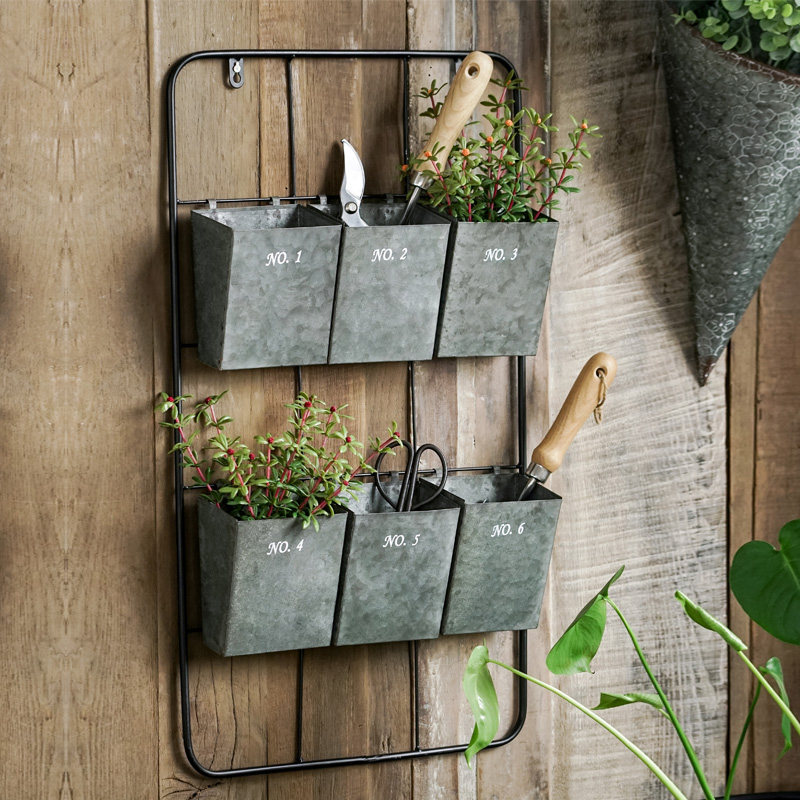 6个小铁皮桶园艺工具收纳架花房花园复古铁艺墙上壁挂收纳器挂式,鲜花速递/花卉仿真/绿植园艺,花架,淘宝优惠券,粉丝福利购,淘宝优惠卷
