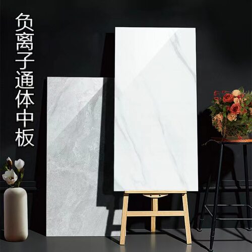 瓷砖广东佛山400*800通体客厅