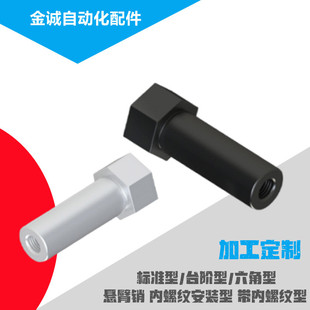 带内螺纹安装型悬臂销MEJ01/MEK01加工定做标准/台阶/六角型MEL01