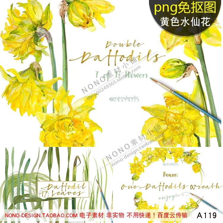 a119水彩手绘黄色水仙花png免扣图植物免抠ps平面设计插画素材