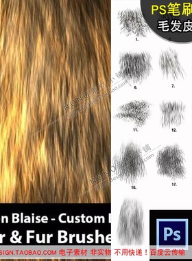 B189头发毛发皮毛动物绒毛PS笔刷abr画笔设计绘画增效绘画素材