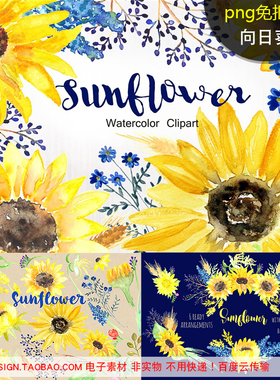 A209向日葵黄色花朵PNG免抠图PS平面设计海报插画免扣装饰素材