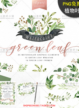 [AZ25]水彩PNG叶子免抠图元素植物绿色手绘请柬卡片设计师素材