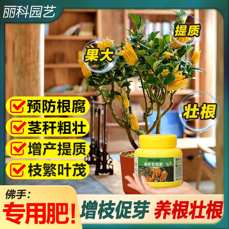 佛手专用肥有机肥颗粒缓释肥