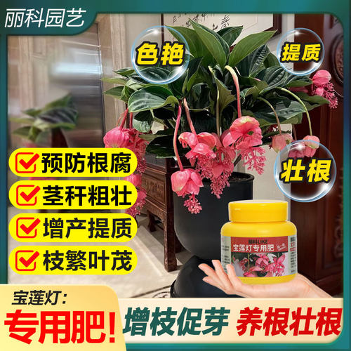 宝莲灯专用肥花卉养花有机缓释肥