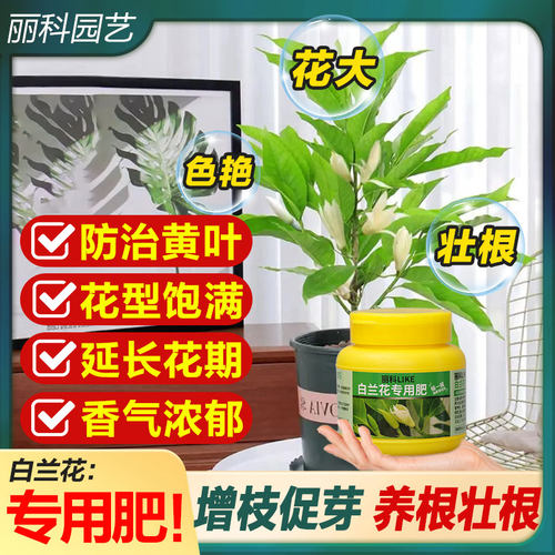 白兰花专用肥缓释肥复合肥