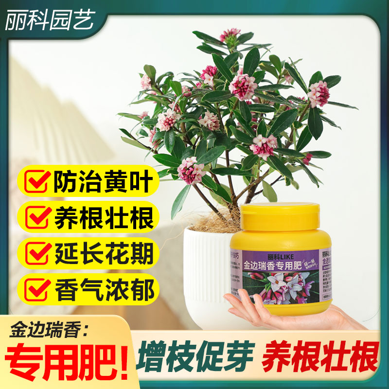金边瑞香专用肥缓释肥料花肥家用