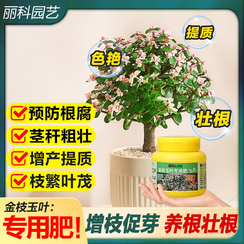 金枝玉叶专用肥花肥家用通用型复合肥养花植物有机颗粒盆栽缓释肥,鲜花速递/花卉仿真/绿植园艺,家庭园艺肥料,淘宝优惠券,粉丝福利购,淘宝优惠卷