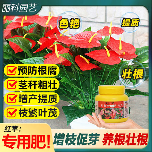 红掌专用肥缓释肥营养肥