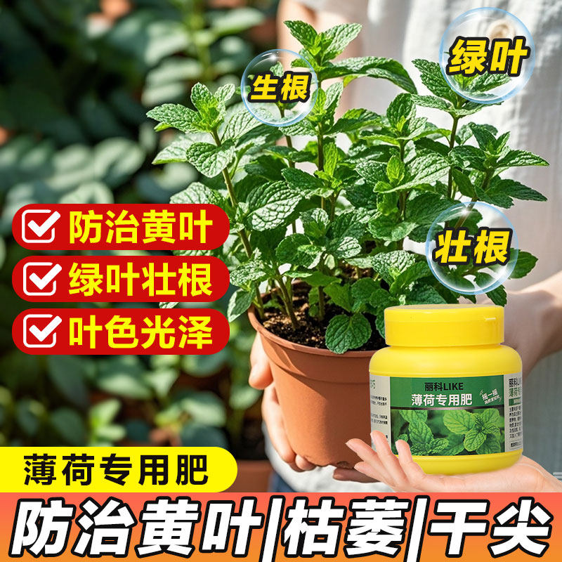 薄荷肥料花肥家用盆栽通用养花有机盆栽植物颗粒缓释肥薄荷专用肥
