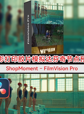 电影打印胶片色彩模拟达芬奇PowerGrades节点预设 FilmVision Pro