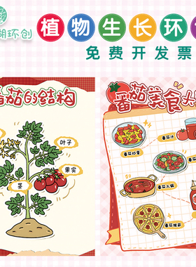 幼儿园植物角认识番茄环创主题墙西红柿的结构成长生长过程墙贴画
