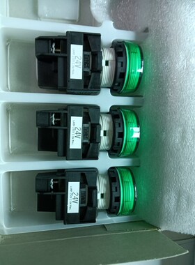 全新原装正品和泉指示灯YW1P-1BEQ4G