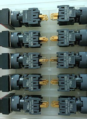 全新原装凯昆红色长方形自复位带灯按钮F16-291R 24VDC