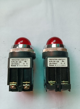 全新原装建兴红色指示灯KPL30-2A