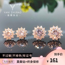 18k rose, golden sun flower, full diamond, D color, new platinum, four claw earrings, female Earrings