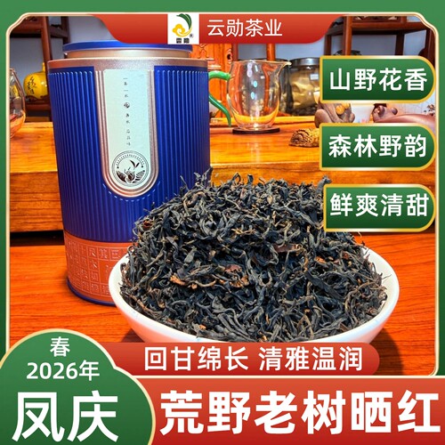 云南凤庆荒野老树春茶滇红