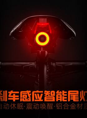 洛克兄弟自行车尾灯智能感应刹车