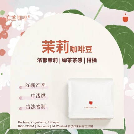 美盏.古法茉莉花茶窨咖啡豆.26产季埃塞耶加雪菲水洗茉莉香气浓郁