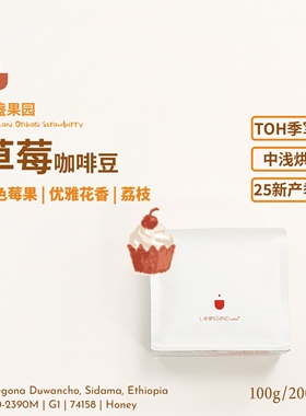 美盏草莓咖啡豆25产季TOH第3名红蜜处理花果香埃塞西达摩中浅烘G1