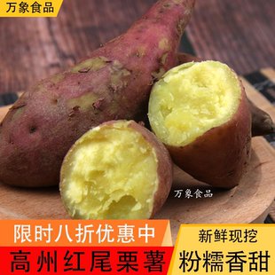 【红尾板栗薯】广东高州市红番薯蜜薯粉软糯香甜地瓜农家自种新鲜