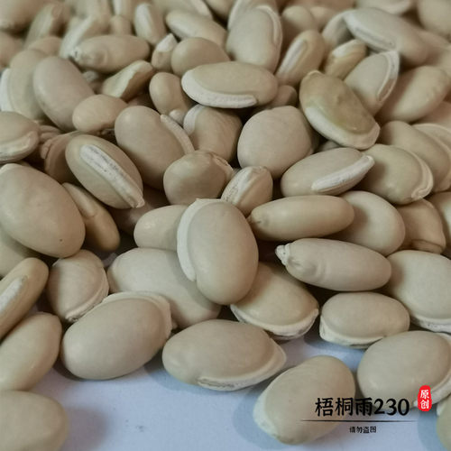 白扁豆1公斤包邮1千克