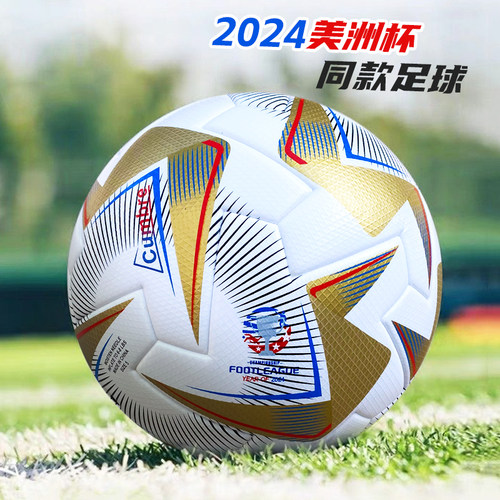 三环美洲杯5号pu皮防滑无缝足球