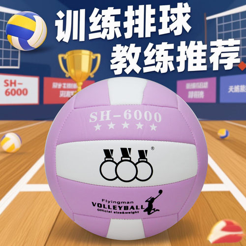 三环中小学生成人排球比赛训练球