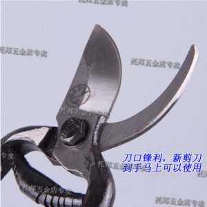 望儿山牌辽宁修枝整枝剪葡萄梨桔子果树园艺花卉芒果剪刀大粗枝条
