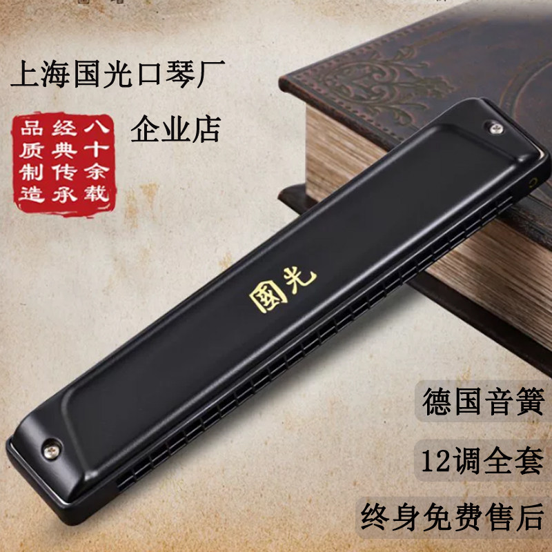 国光口琴24孔复音C调#ABDEFG国之梦高级演奏级国之光波动音无指纹