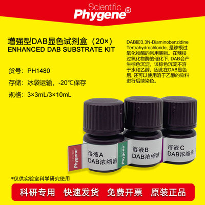 增强型DAB显色试剂盒Phygene