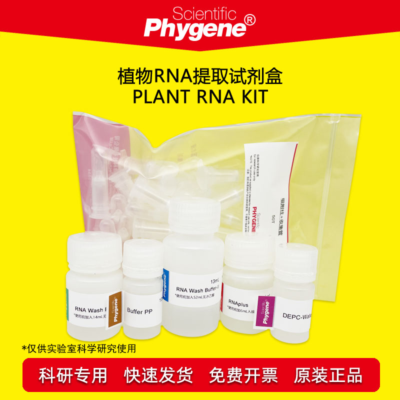 植物RNA提取试剂盒Phygene