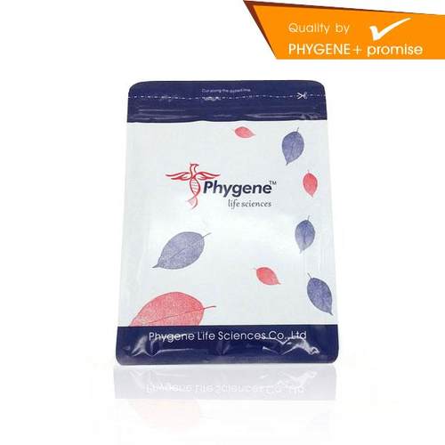 Hoechst33258染色液Phygene