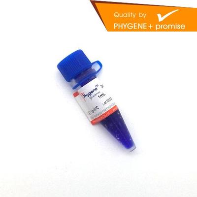 RNA上样缓冲液科研专用Phygene