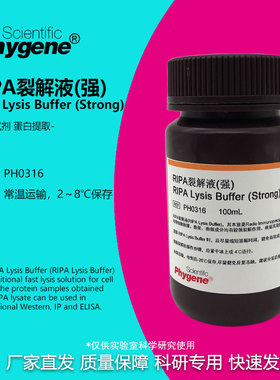 RIPA裂解液 强/中/弱 细胞组织裂解液 蛋白提取实验试剂 100ML