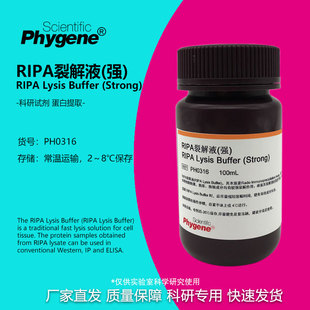 RIPA裂解液 强/中/弱 细胞组织裂解液 蛋白提取实验试剂 100ML