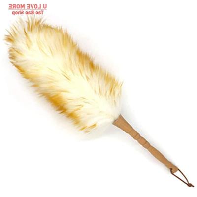 Dust Brush Household Feather Duster Dusting Cleaning Brush W