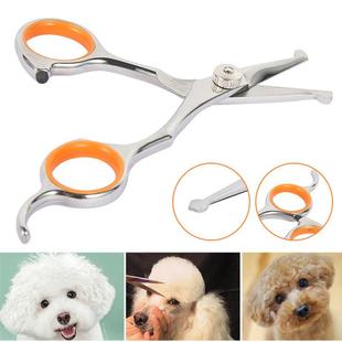 Professional Pet Hair Scissor Stainless Steel Durable Safety
