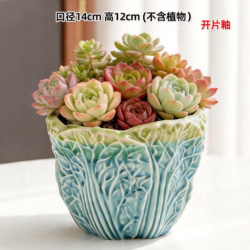 唐义手工陶瓷花盆创意叶子纹理多肉植物盆栽小清新装饰花器