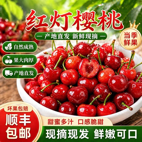 现货当季山东烟台大樱桃新鲜水果现摘发大红灯国产车厘子孕妇儿童