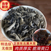 正宗东北木耳干货无根肉厚容易泡发500g 特产黑木耳秋木耳现货 包邮