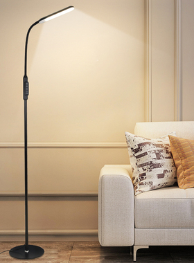 落地灯LED护眼 简约现代北欧ins风客厅卧室书房极简立式落地台灯