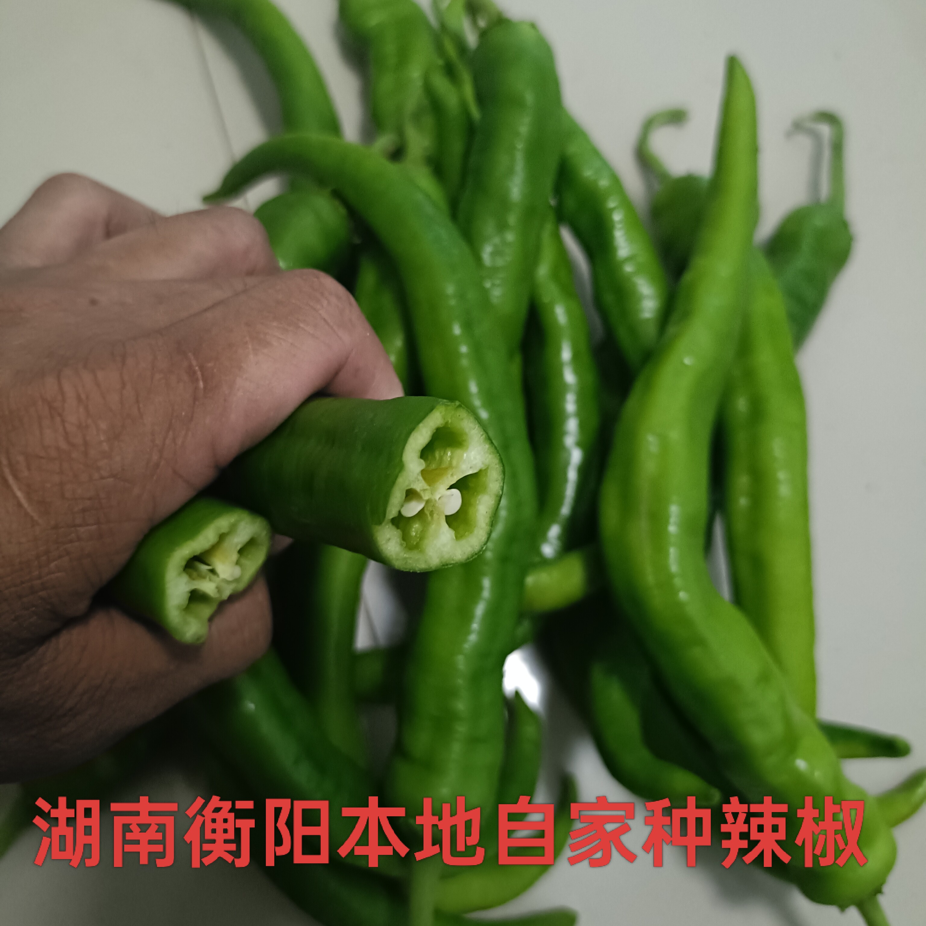 【顺丰包邮】湖南衡阳本地农家露天自种新鲜薄皮秋辣椒长辣椒现摘