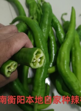 【顺丰包邮】湖南衡阳本地农家露天自种新鲜薄皮秋辣椒长辣椒现摘